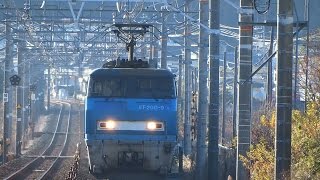 JR貨物 モンスター機2本 5091レ(EF200-9)・7090レ(EF200-6) 東海道本線 2014/12/27