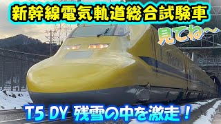 【新幹線電気軌道総合試験車】ドクターイエローT5 検測 残雪 雪化粧を激走!東海道新幹線  西日本新幹線 the Shinkansen bullet train