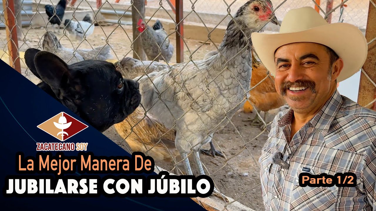 COSAS NUEVAS POR DESCUBRIR Más Variedad de Gallinas Ponedoras