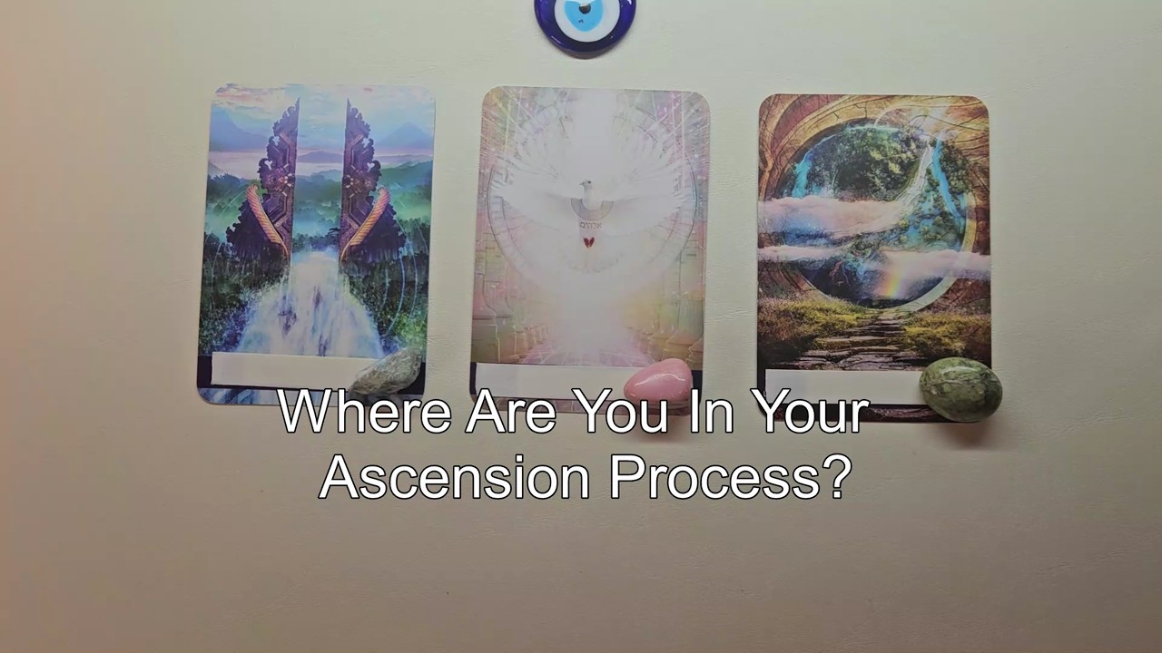 Let's Find Out What We Need To Know Right Now