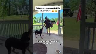 When the postman is your best friend 🐕❤️#dog #postman #love #cute #doglove #tiktok #fyp