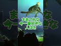 じゃんじゃんじょんじゃん【タートルトーク】東京ディズニーシー