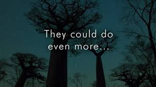 WWF PANDA DIGITAL -  Trees fight climate change English