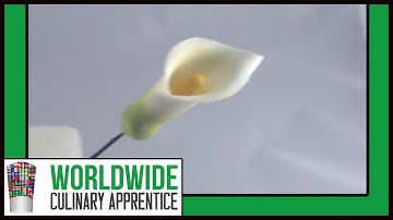 Sugar Gum Paste Calla Lilies – Step-by-Step Cake Decorating Tutorial