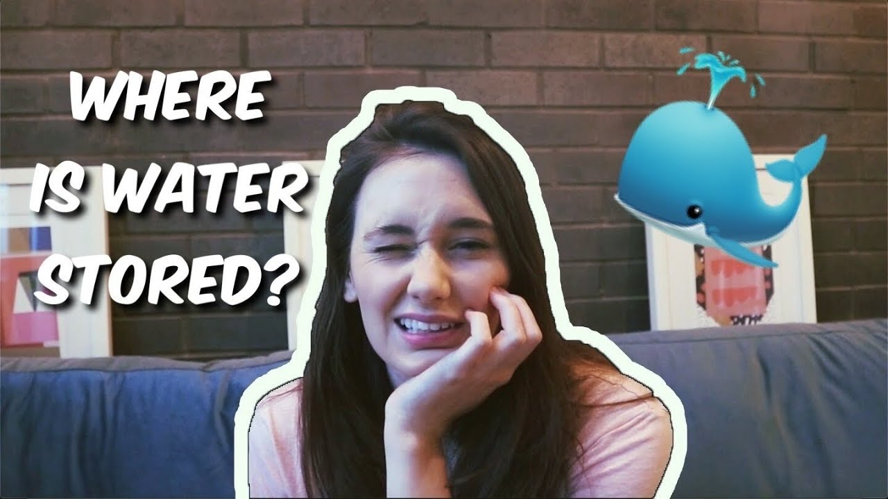 What Actually is Water Weight? - YouTube