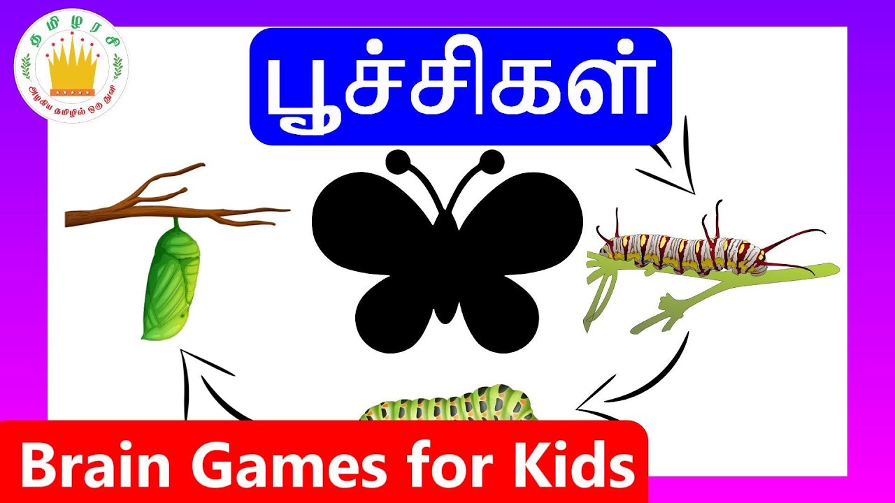 learn-tamil-bugs-and-insects-name-for-kids