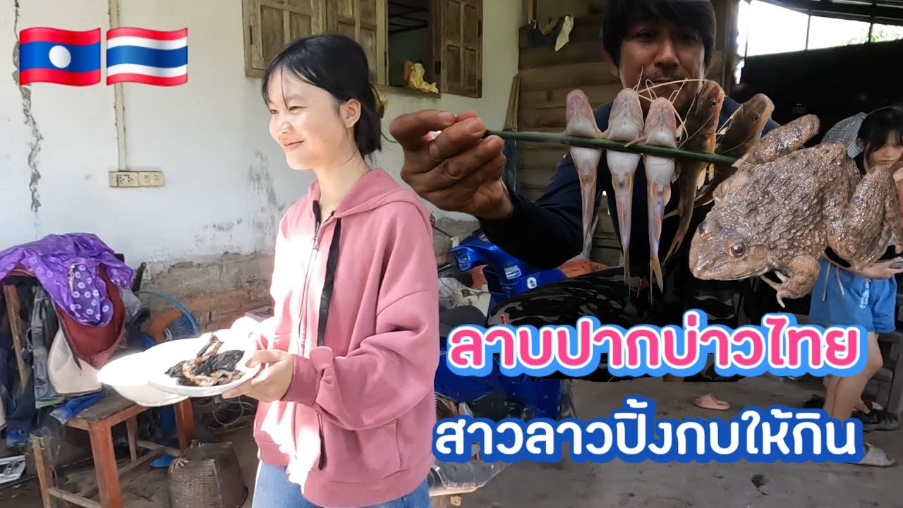 สาวลาวปิ้งกบ​ แซบๆๆๆบ่าวไทยต้องได้ชิม
