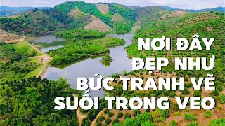 Cực sốc! Chỉ hơn 1 tỷ có 3,2 hecta ở Lâm Đồng view hồ giáp suối chảy quanh năm