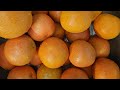 Making GRAPEFRUIT Juice (juice fast day 35)