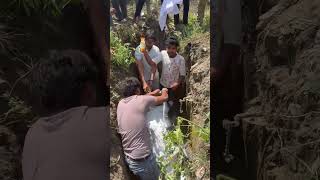 Today the voiceless cow was buried.nation first #road #trending #viral #youtubeshorts