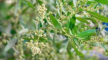 سورة يوسف اسمع جمال الصوت بنفسك لو دقيقه