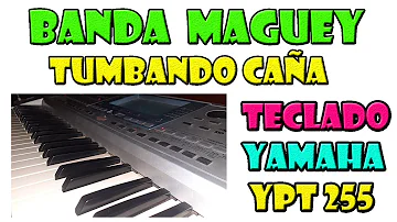 Tumbando Caña | Banda Maguey | Tutorial Teclado Yamaha YPT-255 | ACORDES