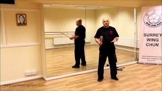Qi Gong Bamboo Brush Training
