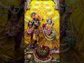 ठाकुर जी इतनी सुंदर बनकर क्यों खड़े होते हैं मंदिर में #ytshorts #shortsfeed #thakurji #krishna#yt