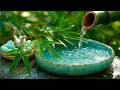 🔴 SPA MUSIC + WATER SOUNDS | Mental Health Recovery &amp; Deep Relaxation LIVE No #1