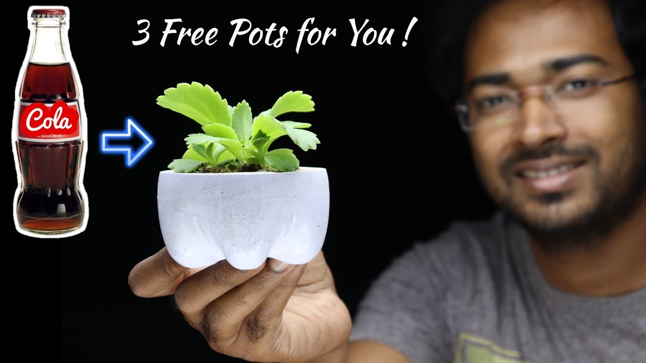 3 Creative cement pot making ideas under 10 rupees | Make beautiful