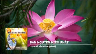 Luận về báo thân tịnh độ 