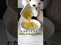 乗り遅れた末路 / Cooking Ramen @HikakinTV