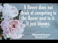 Dont compare yourself bloom like flowers  hashaam shinystarblog motivation motivationalspeaker