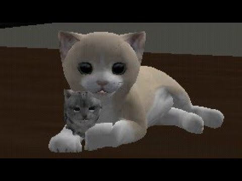 Um simulador de gato foi lançado na Steam e recebeu 100% de avaliações  positivas. Você pode se casar nele e criar uma colônia de gatos