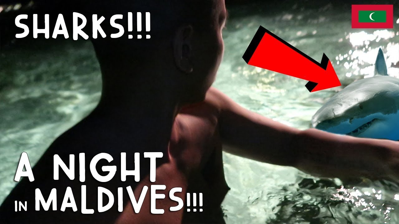 OMG! SHARKS! A NIGHT OUT IN MALDIVES | Vlog #4
