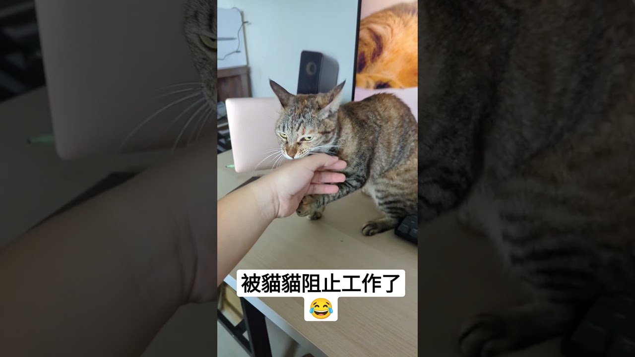 古哥拖更的最大原兇?! 縮圖