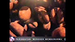 Download lagu RCTI Djarum Black Cappucino 00 15