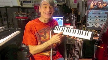 Accidentals - Understanding Music #5