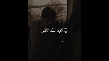فاصبر صبرا جميلا، بصوت حمزه بوديب تلاوه تأخذك الى عالم ثاني من الراحه والطمأنينه #حمزة_بوديب