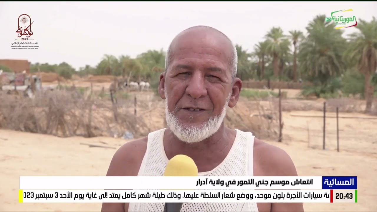 انتعاش موسم جني التمور في ولاية آدرار