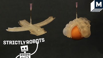 Harvard Researchers Made a Thermometer That…Stretches? | Strictly Robots