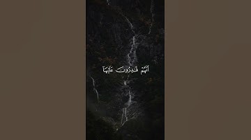 سورة يونس 24 [2] | عبدالرحمن مسعد [قراءة 2023]