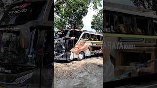Download Lagu Baby Dance Cute - Bus Mode Transparan Part 14 #shorts MP3