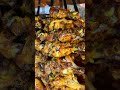 Live Rajasthani Tikka | Desi Masala, Smoky Flavor &amp; Perfect Grill #grilled