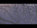 أنا حالة قمر Music حالات واتساب أنا حالة قمر Music حالات واتساب