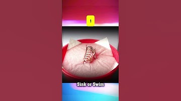 Try To Guess How Many Paper Will Float? #asmrsounds #satisfyingvideo #unitedstates #entertaining