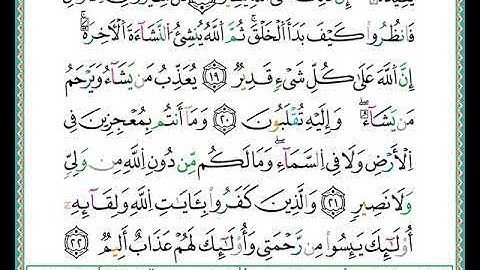 ختمة مصحف التجويد برواية الدوري الصفحة رقم  398