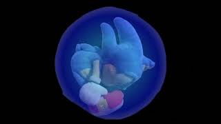 Sonic plush spindash effect (test)