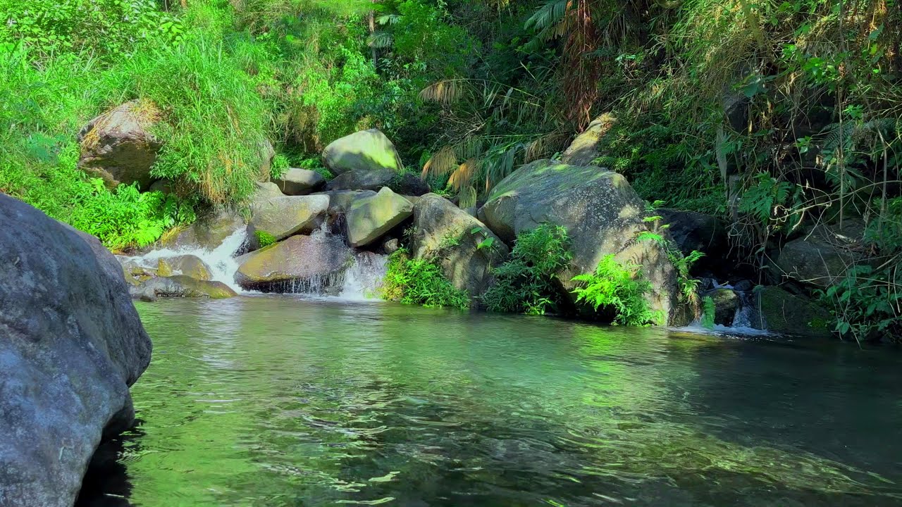 Calm River Water Sounds for Focus, Reading & Relaxation (No Music)