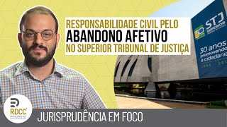 A responsabilidade civil pelo abandono afetivo: um panorama das decisões do STJ