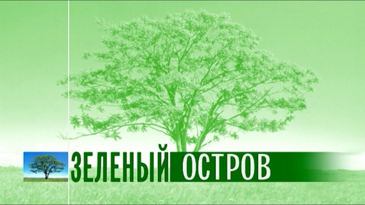 Зеленый Остров Интернет Магазин
