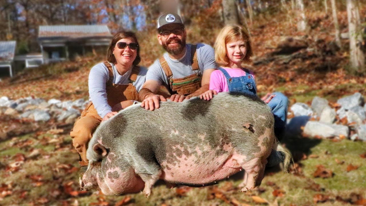 Super Special Day on The Farm Today! - YouTube