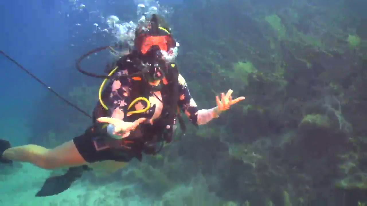 diveLIVE - First Dive - July 20th 2018