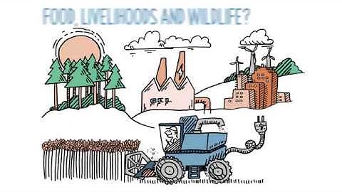 Tyndall Centre research: Biomass Energy Carbon Capture and Storage (BECCS)