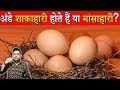 Egg Veg or Non Veg 25 Most Amazing and Interesting Random Fun Facts in Hindi  TFS EP 06 Hindi