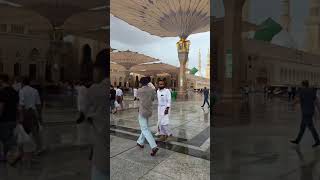 #love #subscribe #support #success #trending #highlights #duet #world #wedding #highlights #music