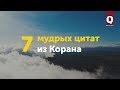 7 мудрых цитат из Корана