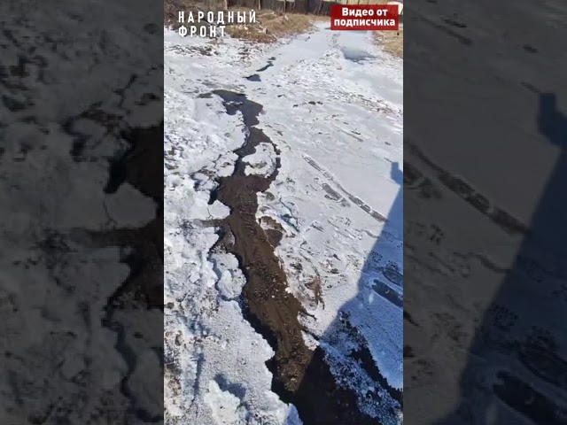 Жители улицы Бабаевского 3 месяц безуспешно борются с фекальным болотом Жители улицы Бабаевского 3 месяц безуспешно борются с фекальным болотом