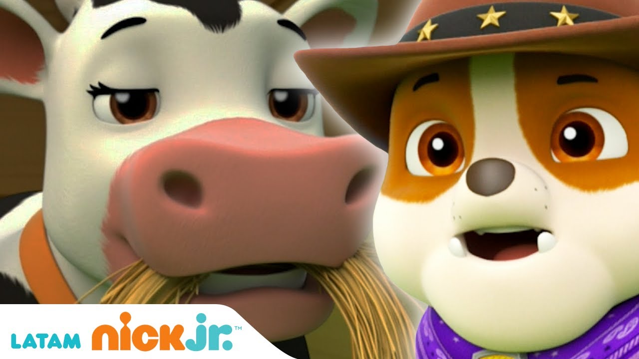 Paw Patrol, Patrulla de cachorros | La rebelión de las vacas | Nick Jr. en Español
