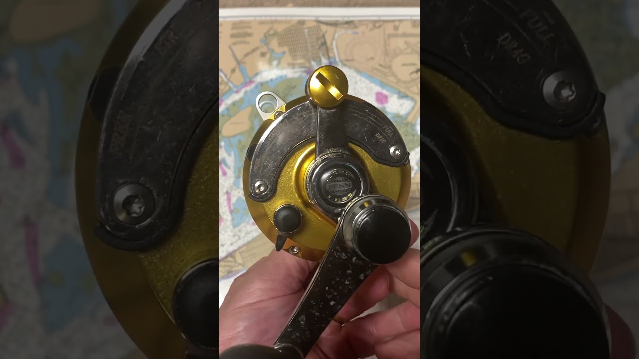 Penn International V 16 VSX fishing reel of the day #fish #fishing